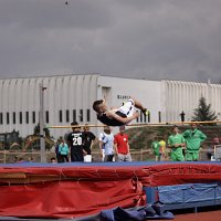 IMG 2710